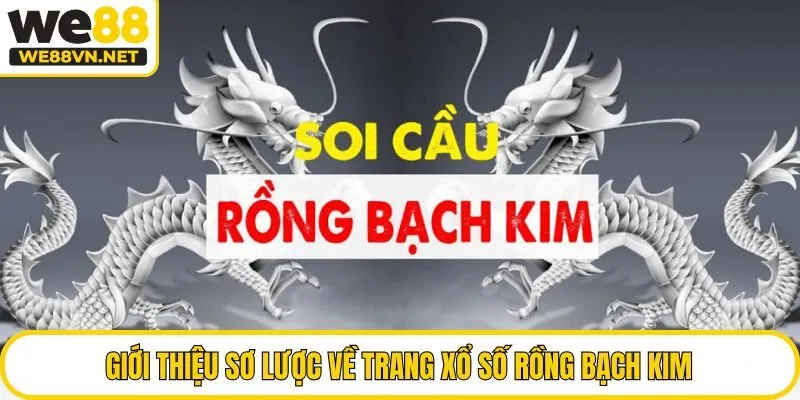 Giới thiệu sơ lược về trang xổ số Rồng Bạch Kim